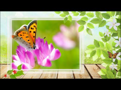 Шаблоны "Летнее слайд шоу" смотреть онлайн