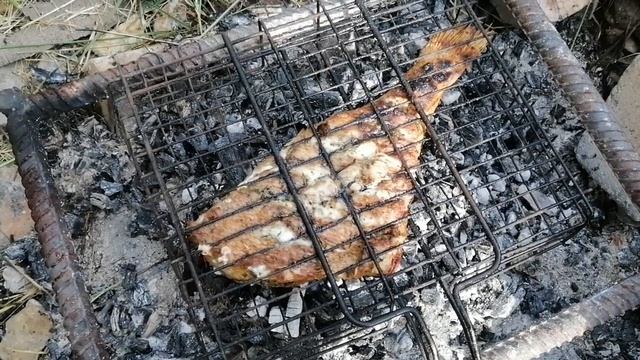 Живопись на Теле