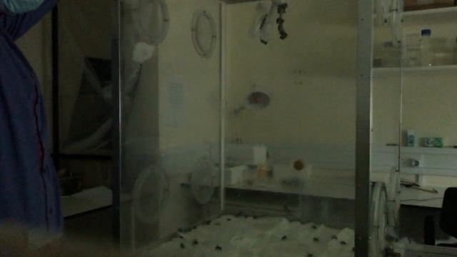 Пчёлы не летают в темноте смотреть онлайн