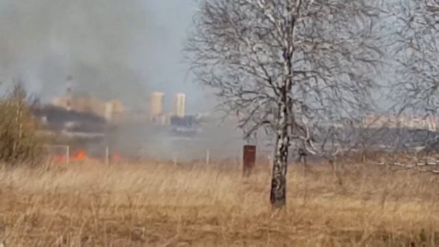 Пожары в полях Полеводстве 2017 год смотреть онлайн