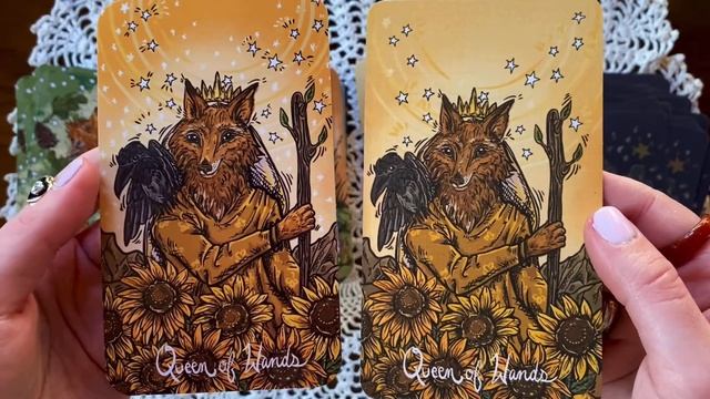 Northern Animal Tarot 2nd Edition Unboxing + First Edition Side-by-Side Flip Through! смотреть онлайн