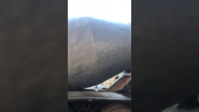 Доставка бетона миксером смотреть онлайн