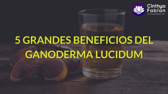 5 Beneficios del Ganoderma Lucidum?Hongo Ganoderma o Reishi смотреть онлайн