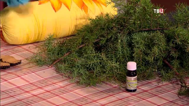 177 Можжевельник – чтобы успокоить кашель и вывести мокроту смотреть онлайн