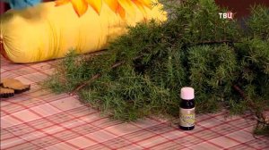 177 Можжевельник – чтобы успокоить кашель и вывести мокроту