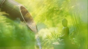 3 Hour Relaxing Music, Calming Music, Zen Music, Healing Music, Stress Relief, Flowing Stream ☯3217