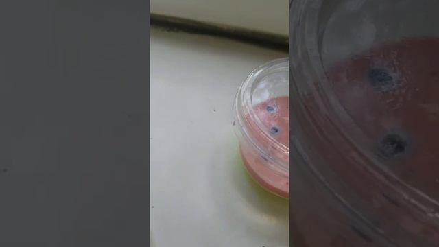 классный slime за 1000 драм🤗 смотреть онлайн