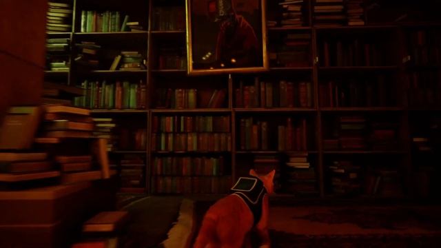 Трущобы ► Stray ► Прохождение #2