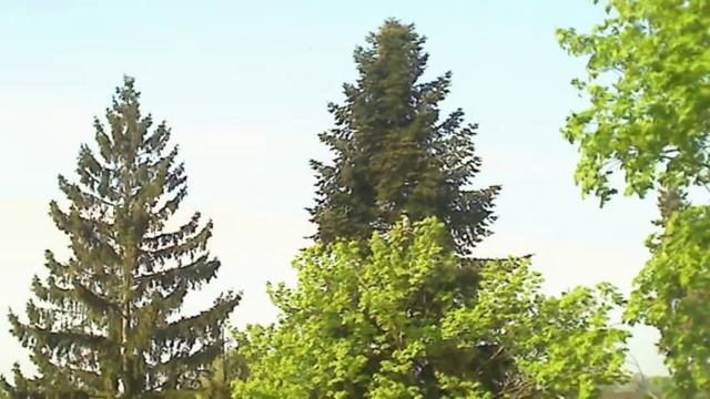 Путешествие в ваше будущее на три года вперёд. Медитация. смотреть онлайн