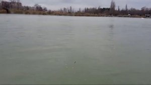 Самодур творит чудеса! Рыбалка на чехонь на Старой Кубани