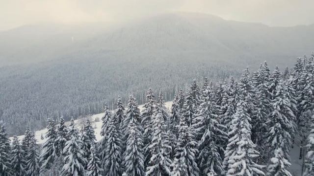 Невероятные пейзажи. Снегопад. Волшебная Мелодия. Прекрасная музыка для Души....Рождественская Ночь смотреть онлайн