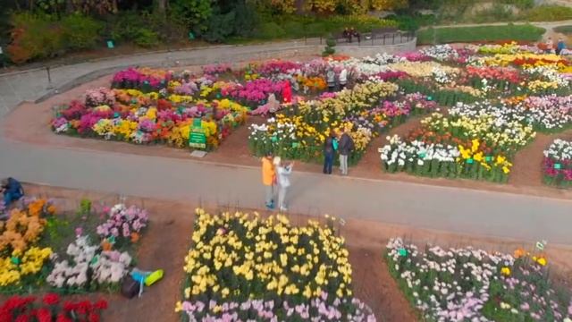 Авторский проект Ларисы Каменщиковой «Крымские мотивы». Выпуск 1 "Ботанический сад" смотреть онлайн