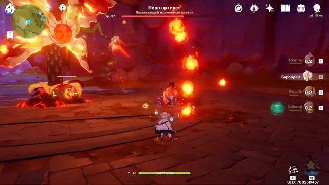 Охота на Пиро орхидею. Пылающее семя. Genshin Impact смотреть онлайн