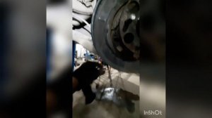задний ступичный  подшипник honda stream