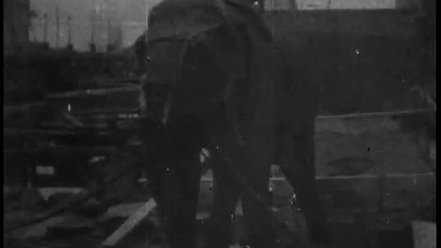 Topsy: Electrocuting An Elephant (1903) *new Restoration* WARNING: Viewer Discretion - Thomas Ediso