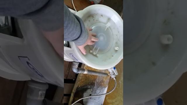 Машина для очистки овощей. Очистка картофеля, моркови, лука, свеклы смотреть онлайн