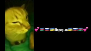 Реакция ЛВПГ на тт :3))..(1/2)