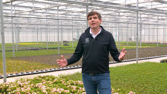 Spring Meadow Nursery - IPPS International Sponsorship смотреть онлайн