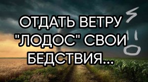 К ВЕТРУ _ЛОДОС_....ДЛЯ ВСЕХ...