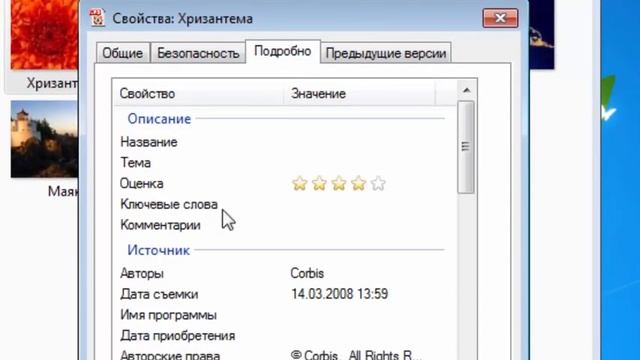 Как работать с поиском медиафайлов на компьютере смотреть онлайн
