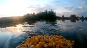 Тестирование закормочного кораблика Тритон 2.0 D13 | Завоз снасти от лица кораблика