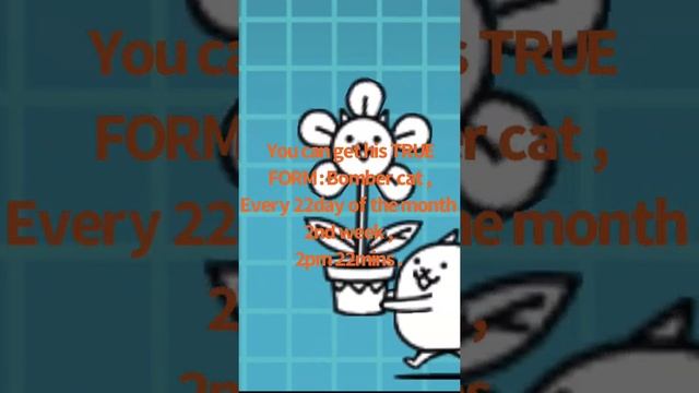 BATTLE CATS -Secret tips ! ? How to get ✨flower cat ✨ смотреть онлайн