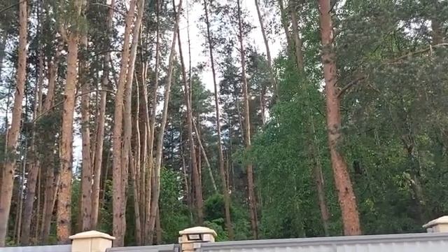 ПРИЗВАТЬ ДЕНЕЖНЫХ КЛИЕНТОВ НА МЁД, ОЧЕНЬ СИЛЬНО, ДЛЯ ВСЕХ, ВЕДЬМИНА ИЗБА смотреть онлайн