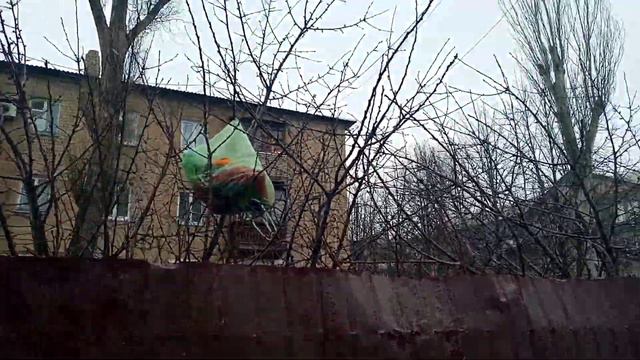Грачи прилетели. смотреть онлайн
