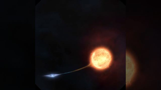 Spooky Universe | A Planetarium Show at Home | Happy Halloween from Kopernik Observatory смотреть онлайн