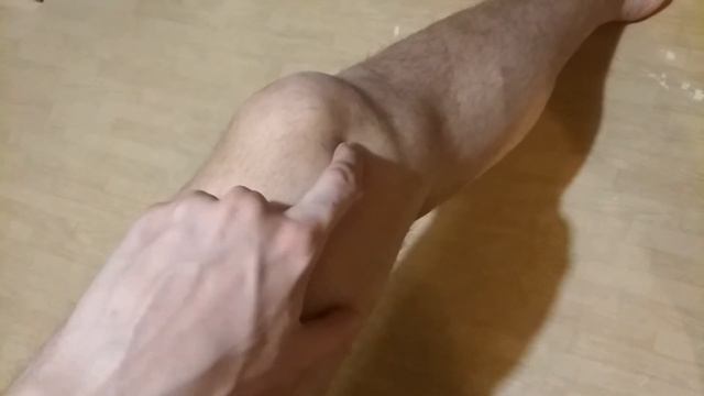 ШКЯ - Черви КАВЕР!