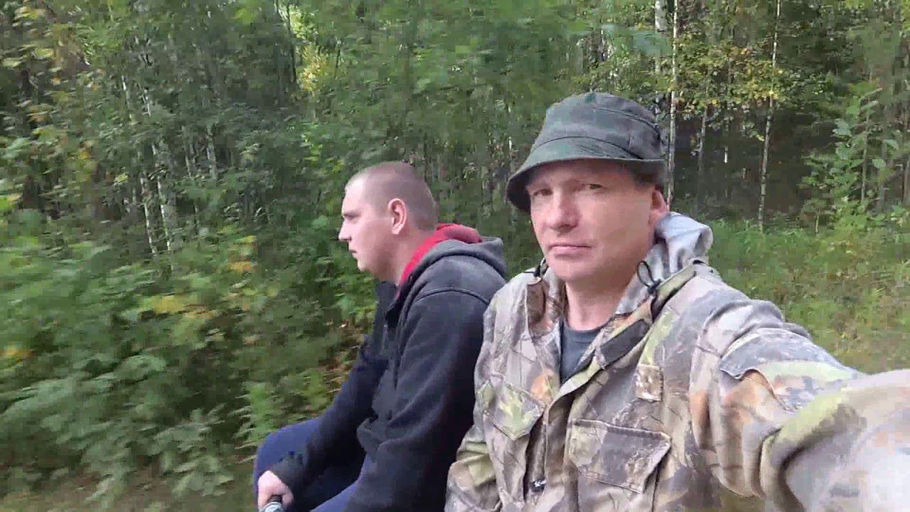 Койра летом смотреть онлайн