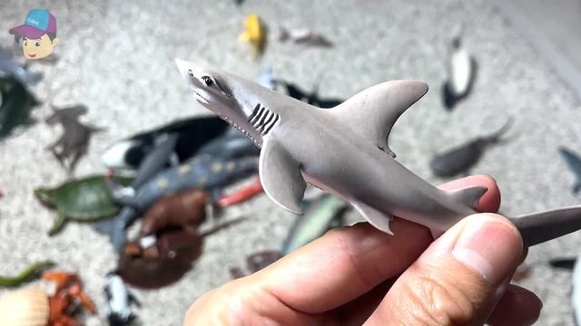 NEW SEA ANIMALS - Walrus, Bull Shark, Grey Whale, Gentoo Penguin, Lobster, Manta Ray, Saw Fish смотреть онлайн