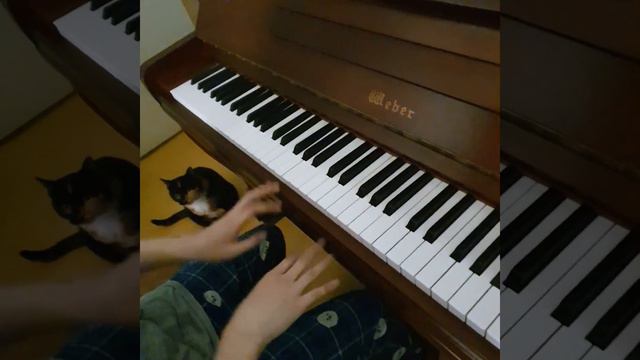 Blumenlied - Gustav Lange (Op. 39) смотреть онлайн