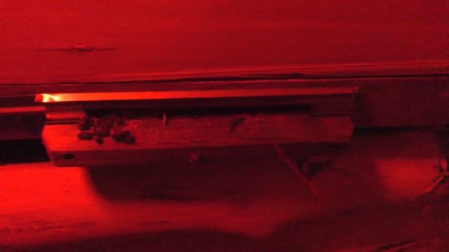 ВСЕГО ПОНЕМНОГУ. ДЕРЕВНЯ. ПЧЁЛЫ. ЛЫЖИ смотреть онлайн