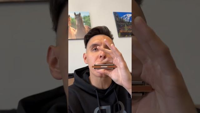 ГАРМОШКА + БИТБОКС | ТЕСТИМ ОБНОВКУ @musicianshut смотреть онлайн