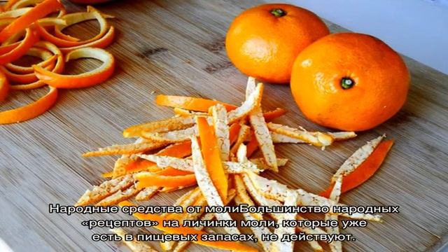 Что делать, если в грецких орехах моль смотреть онлайн