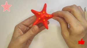 Лепим из пластилина морскую звезду.