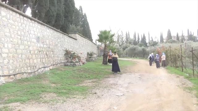 Слово Архипастыря: Бесплодная смоковница смотреть онлайн