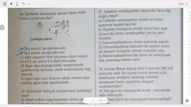 Сборник тестов по биологии ТАИМ/Высшая нервная деятельность/ для будущих учителей/МИГ/ смотреть онлайн