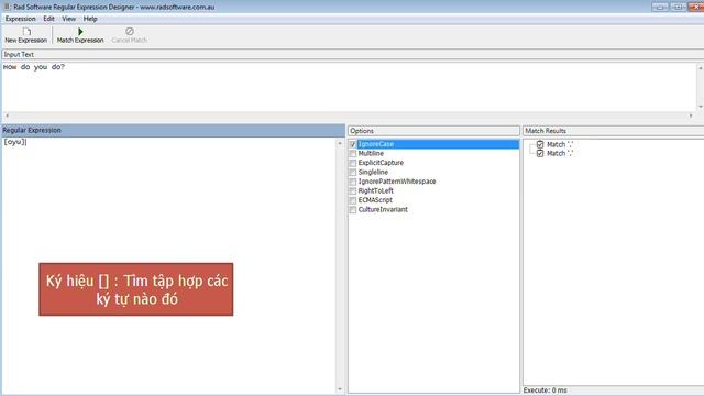 Tự học PHP - Bài 62 Sử dụng biểu thức chính quy - Regular Expression Phần 1 смотреть онлайн