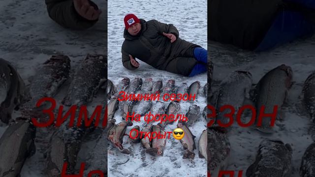 Форелевый сезон открыт😎 #Рыбалкадлядуши #Форель смотреть онлайн