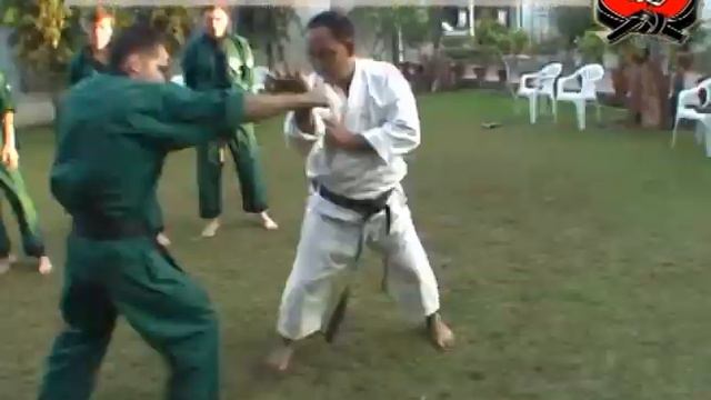 ЧОЙ. Мастер У Тин Тон. Часть 1.flv смотреть онлайн