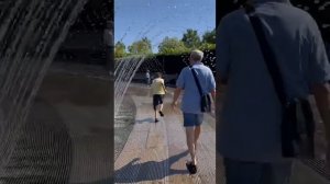 Парк Галицкого или парк   Краснодар