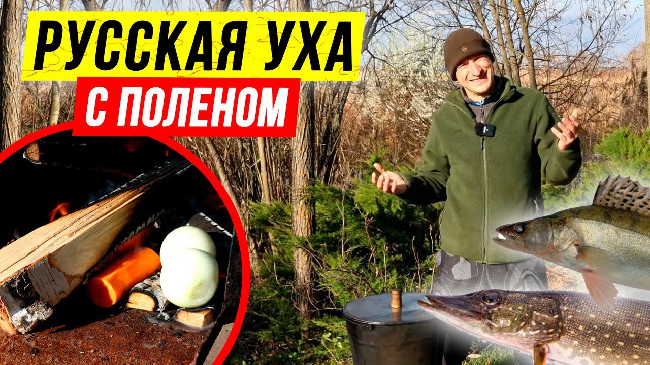 Русская УХА с поленом из 4-х видов рыбы. УХА на костре ? смотреть онлайн