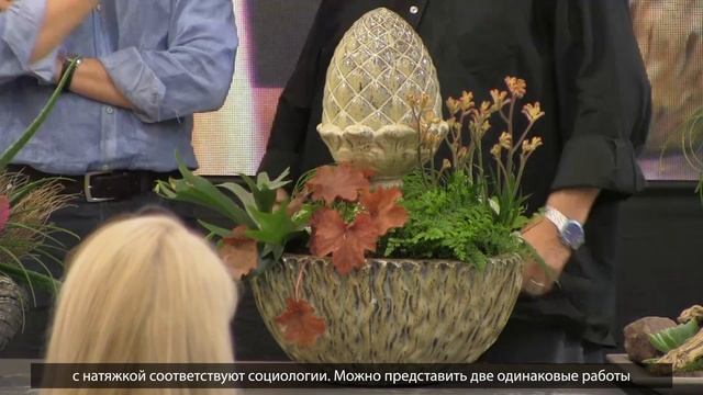 Растения в кашпо. Декоративная цветочная композиция в кашпо смотреть онлайн