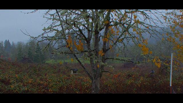 Color Grading to the Extreme [12 bit color, 2.5k] EOS M Magic Lantern смотреть онлайн