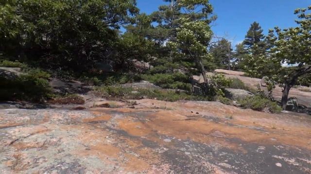 Million Years Old Rocks At Killbear Provincial Park