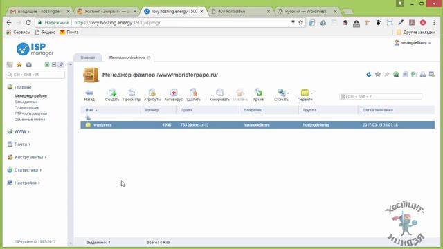 Хостинг hosting.energy. Как установить Wordpress на свой сайт смотреть онлайн