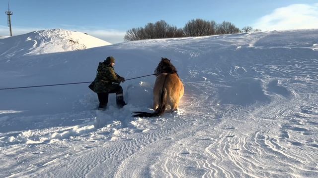 Ранчо на Урале / Обучаем очередного башкирского жеребца / Будни фермера смотреть онлайн