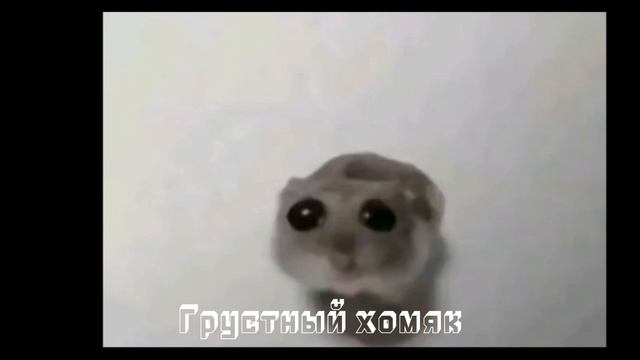 САМЫЕ ПОПУЛЯРНЫЕ МЕМЫ 2024 ГОДА | ТОП 10 смотреть онлайн